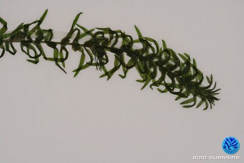 Image 0084 KWP D3.JPG
