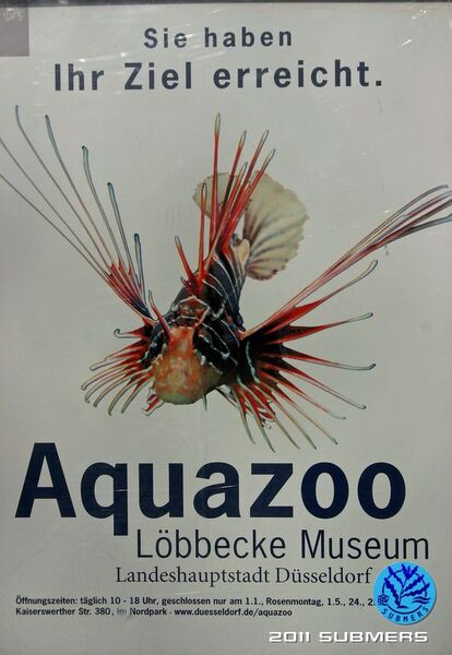 Datei:Aquazo12.jpg
